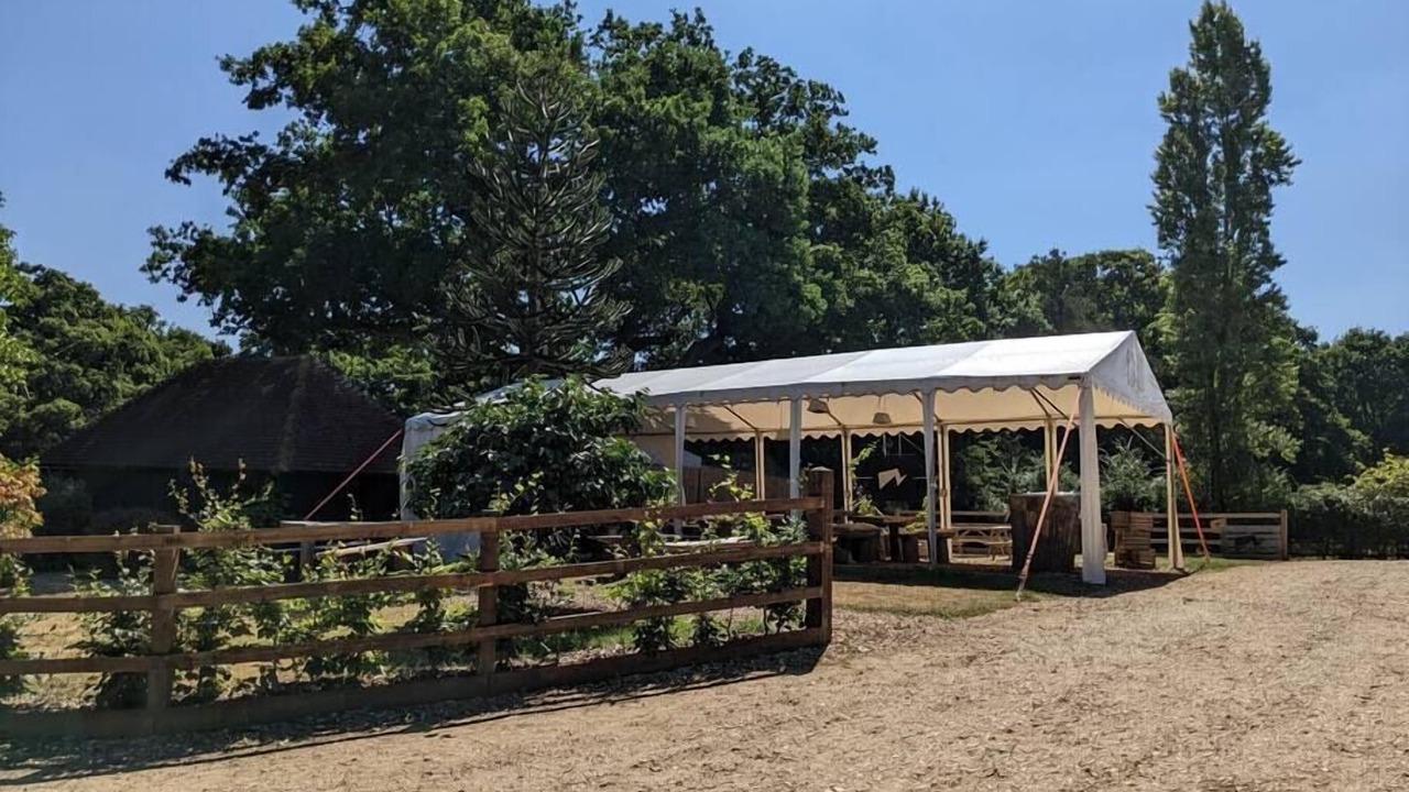 Photo of Others in New Forest District