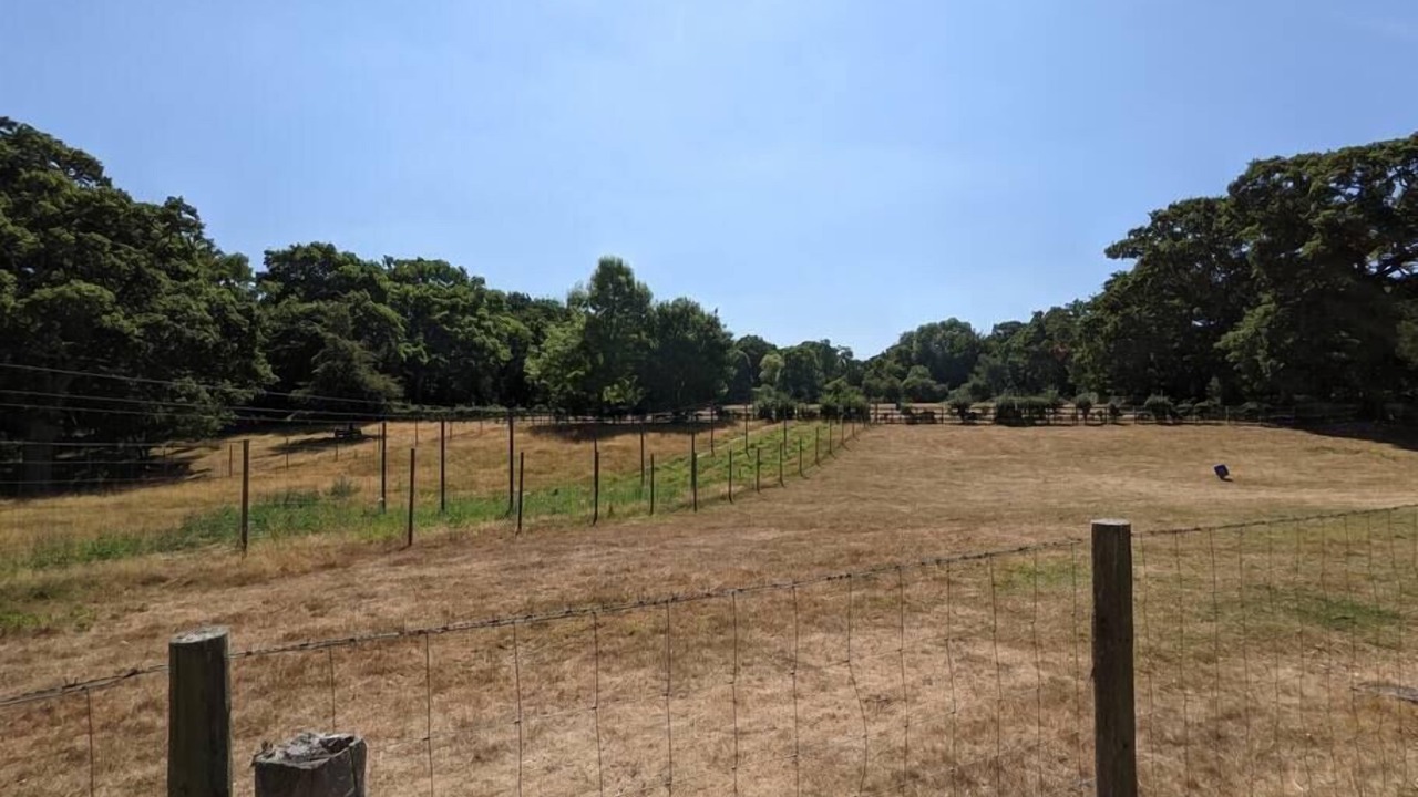 Photo of Others in New Forest District