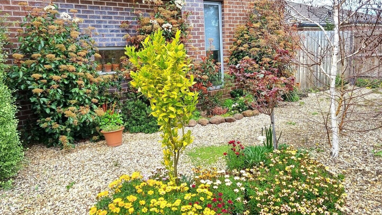 Photo of Outdoor in Heidelberg Heights