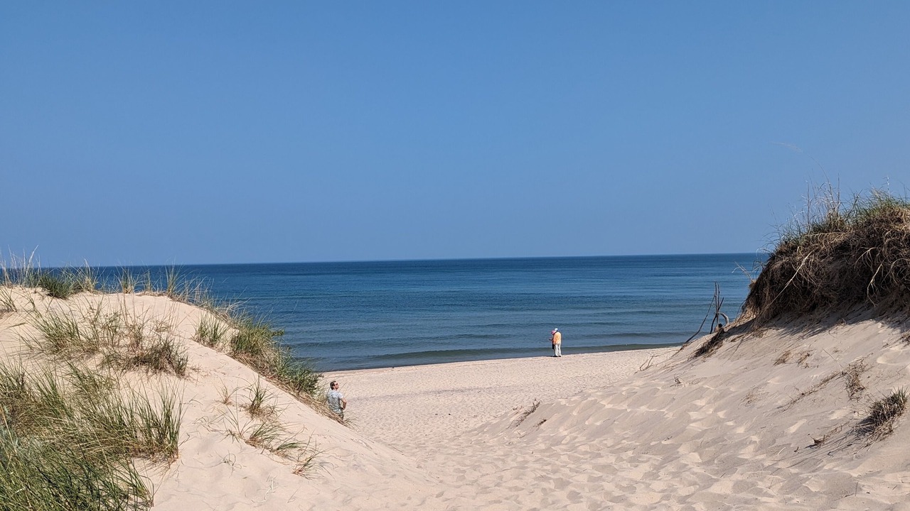 Photo of Others in Stevensville