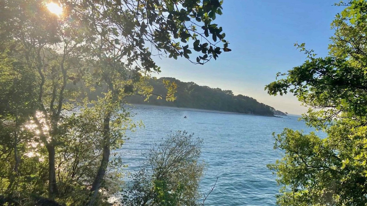 Photo of Others in Ryde