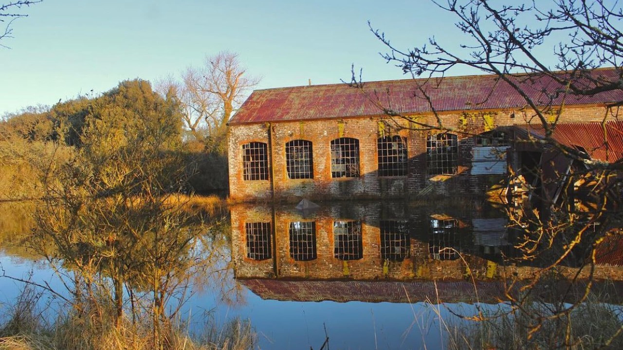 Photo of Others in Ryde