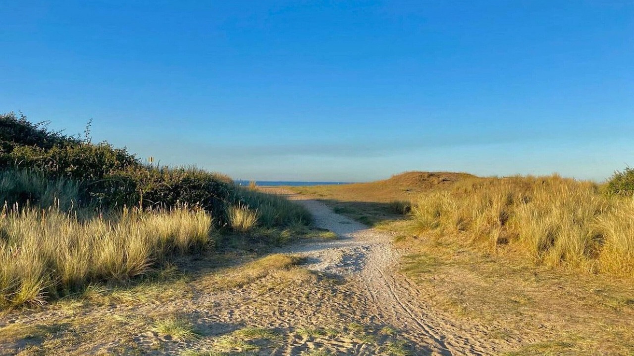 Photo of Others in Ryde