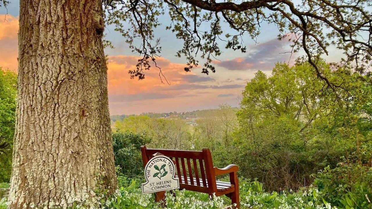 Photo of Others in Ryde