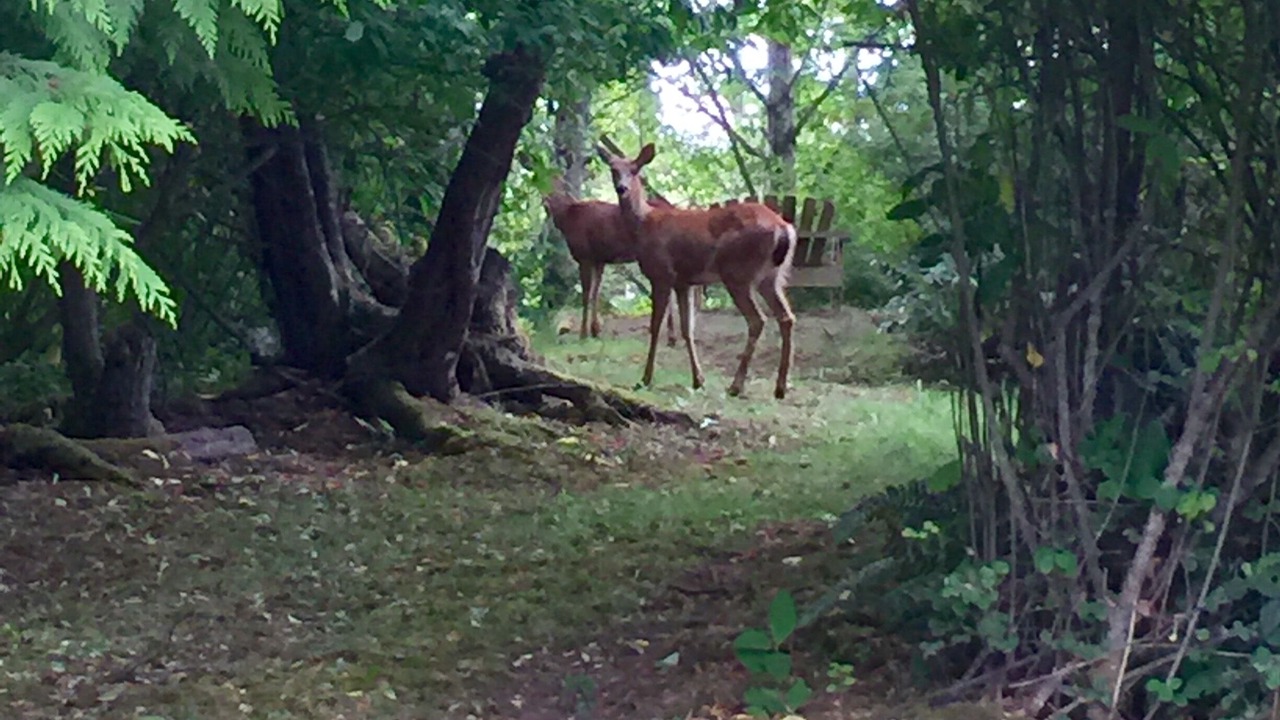 Photo of Others in Mains Farm