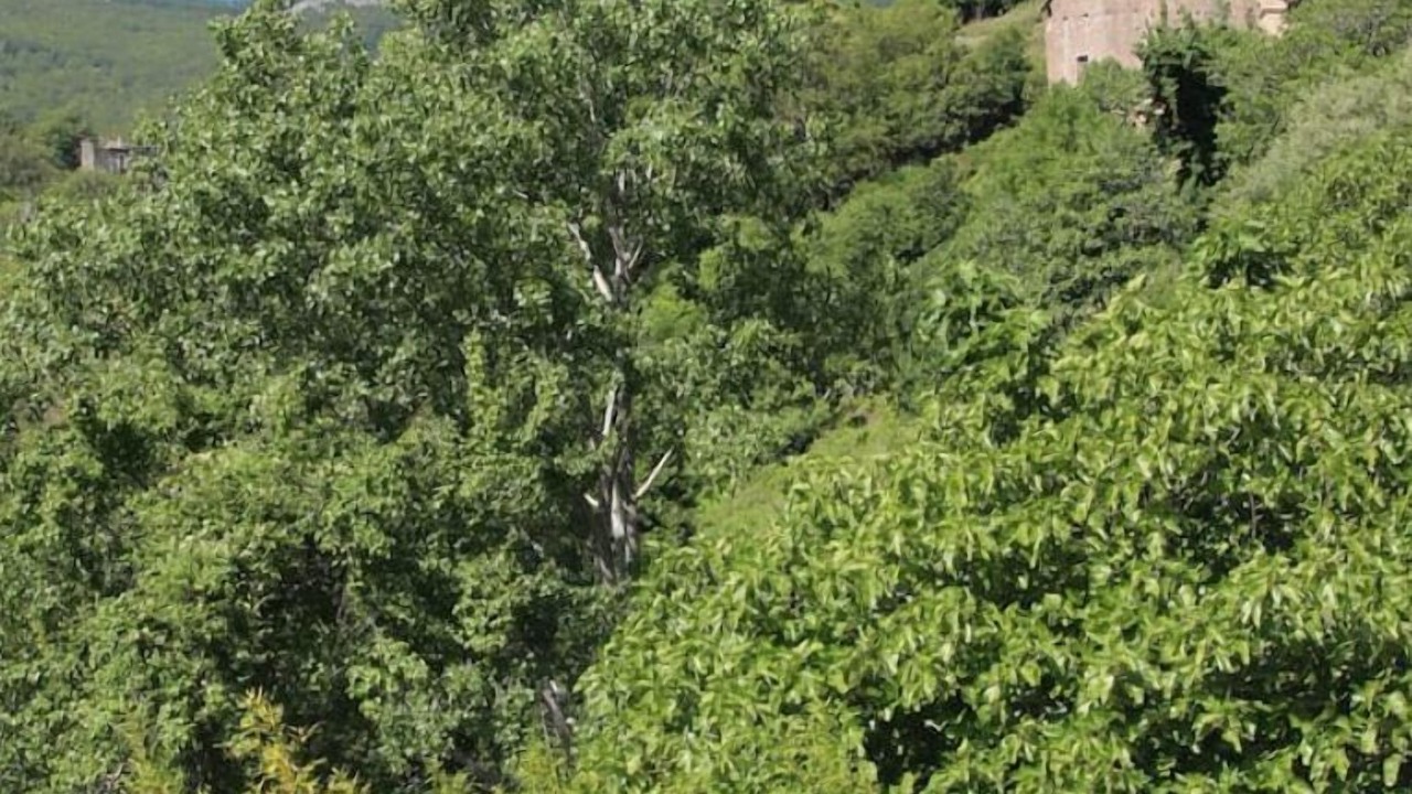 Photo of Outdoor in Carcheto-Brustico