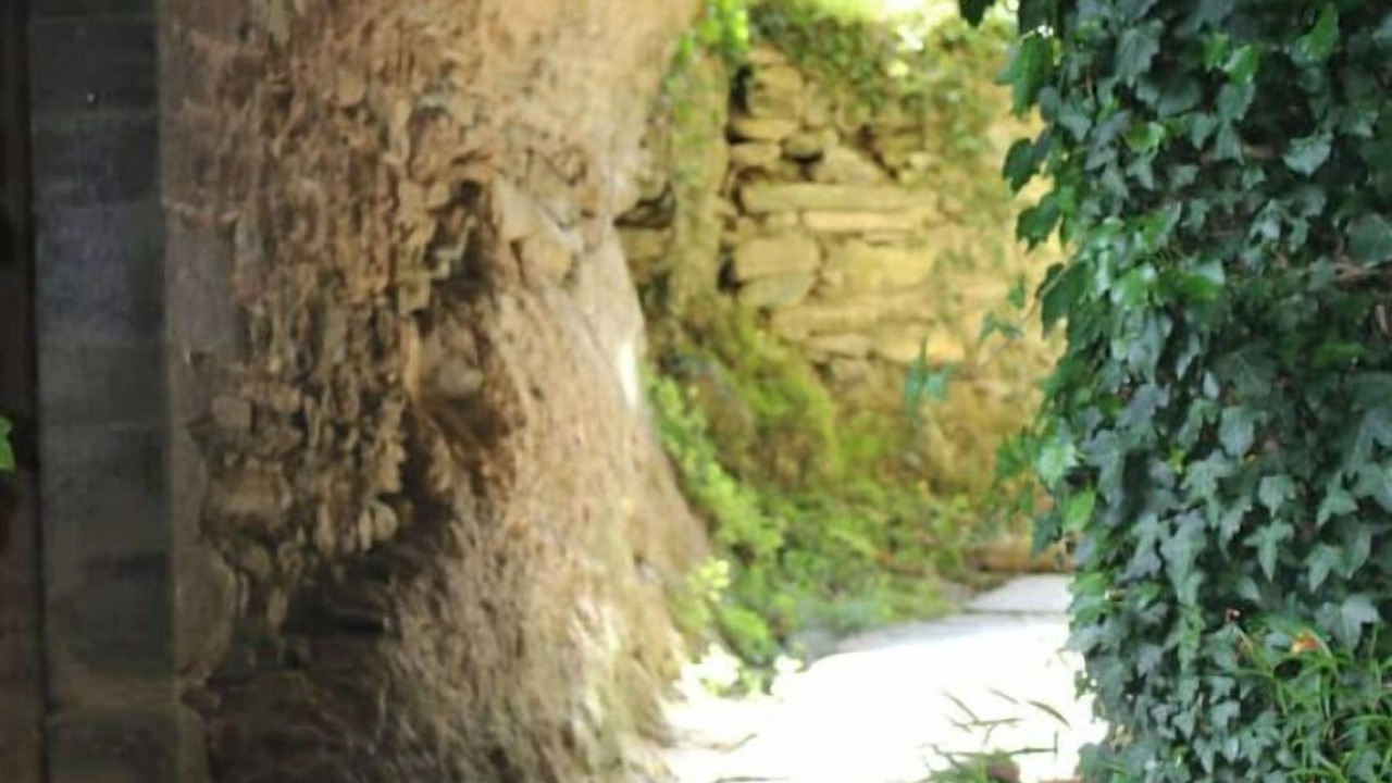 Photo of Outdoor in Carcheto-Brustico