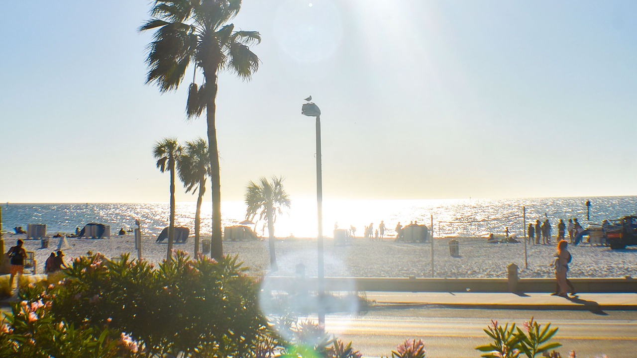 Photo of Others in Clearwater Beach