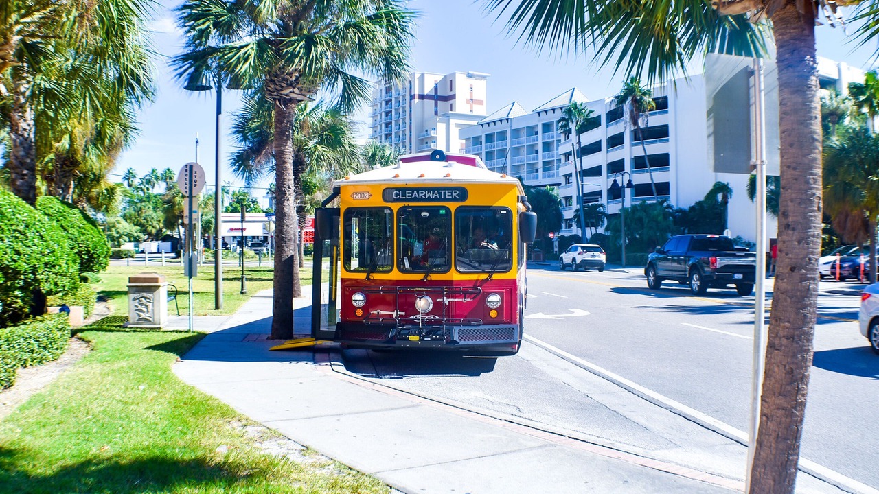 Photo of Outdoor in Clearwater Beach