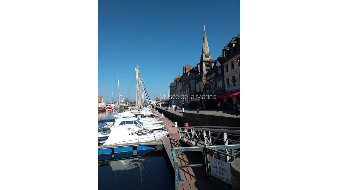 Photo of Others in Enclos