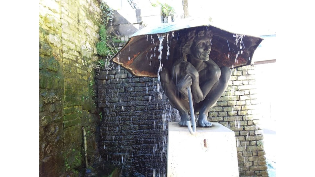Photo of Outdoor in Enclos