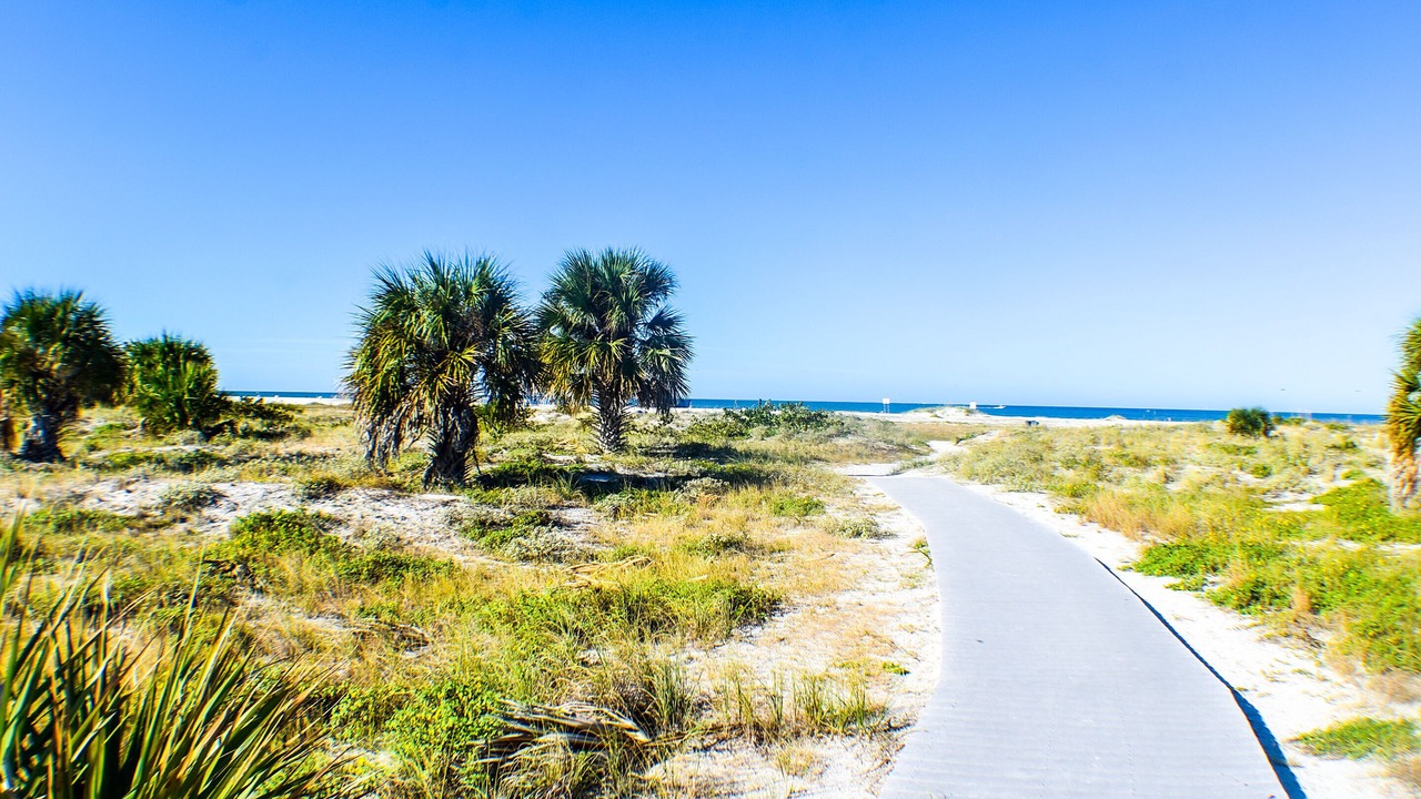 Photo of Others in Clearwater Beach
