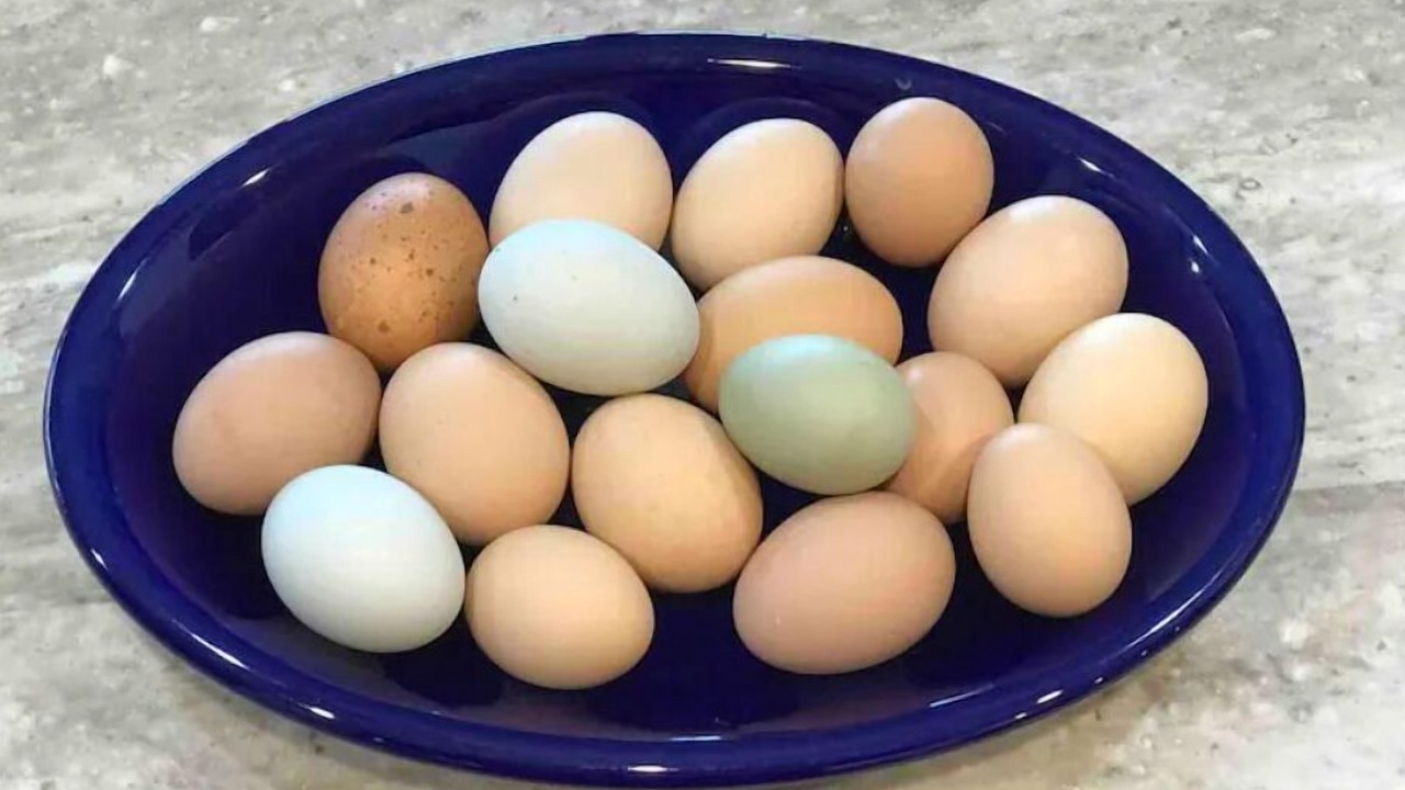 Photo of Others in Hudson