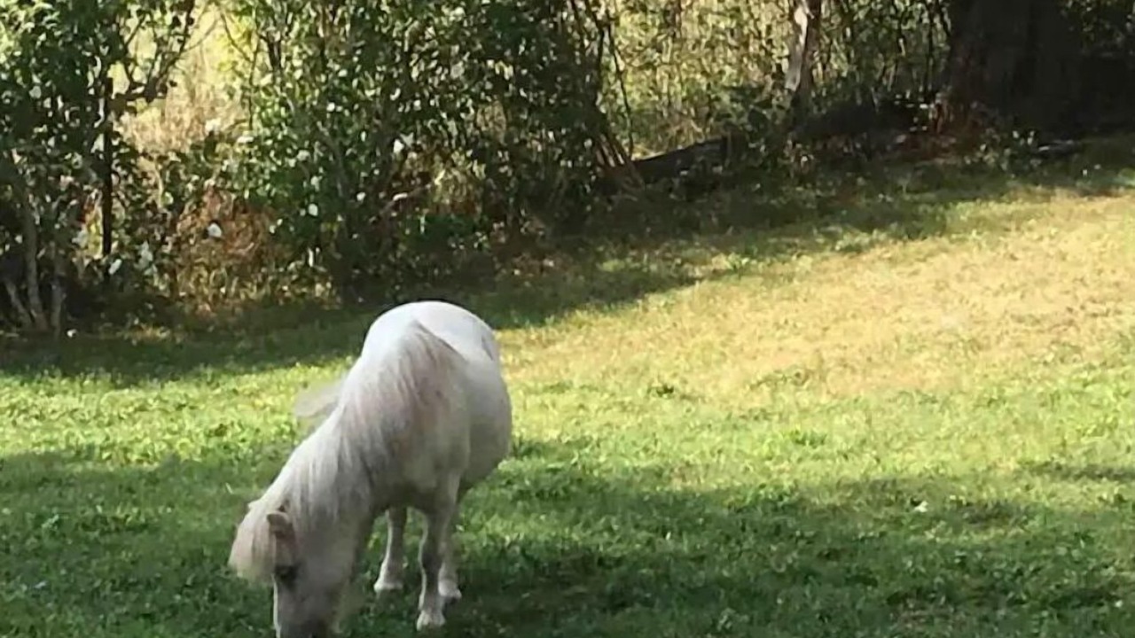 Photo of Others in Hudson