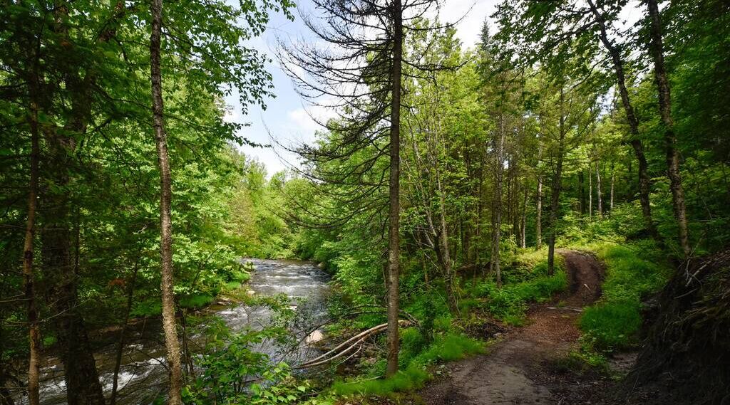 Photo of Outdoor in Pont-Rouge