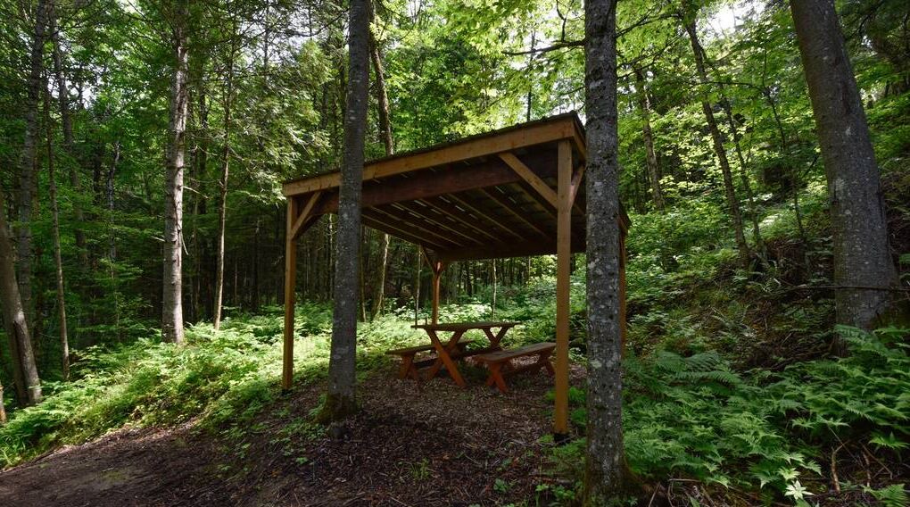 Photo of Outdoor in Pont-Rouge