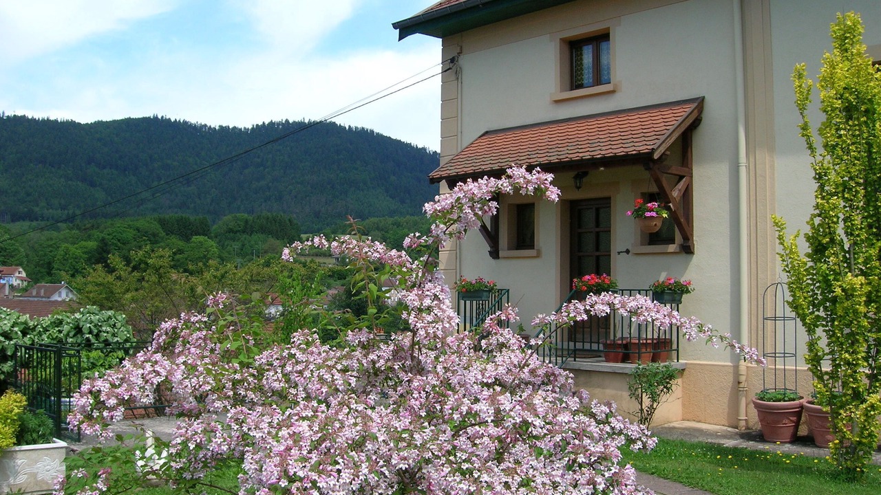 Photo of Outdoor in La Petite-Raon