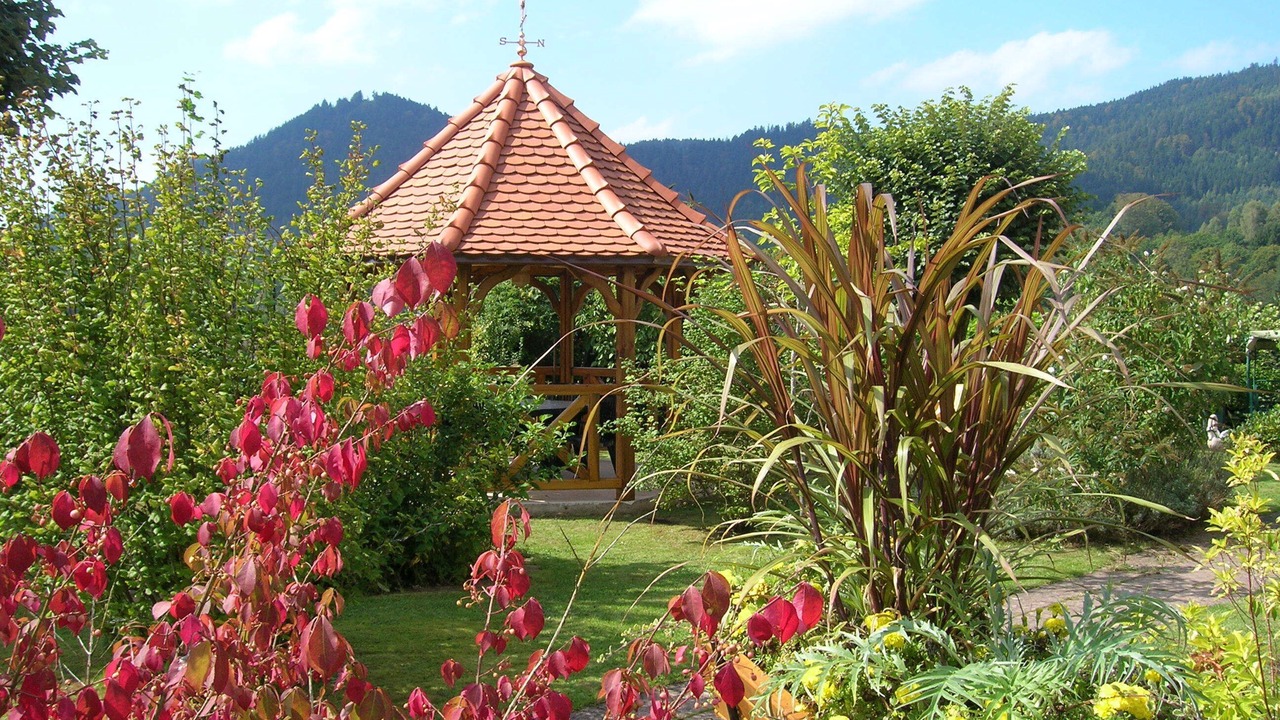 Photo of Outdoor in La Petite-Raon