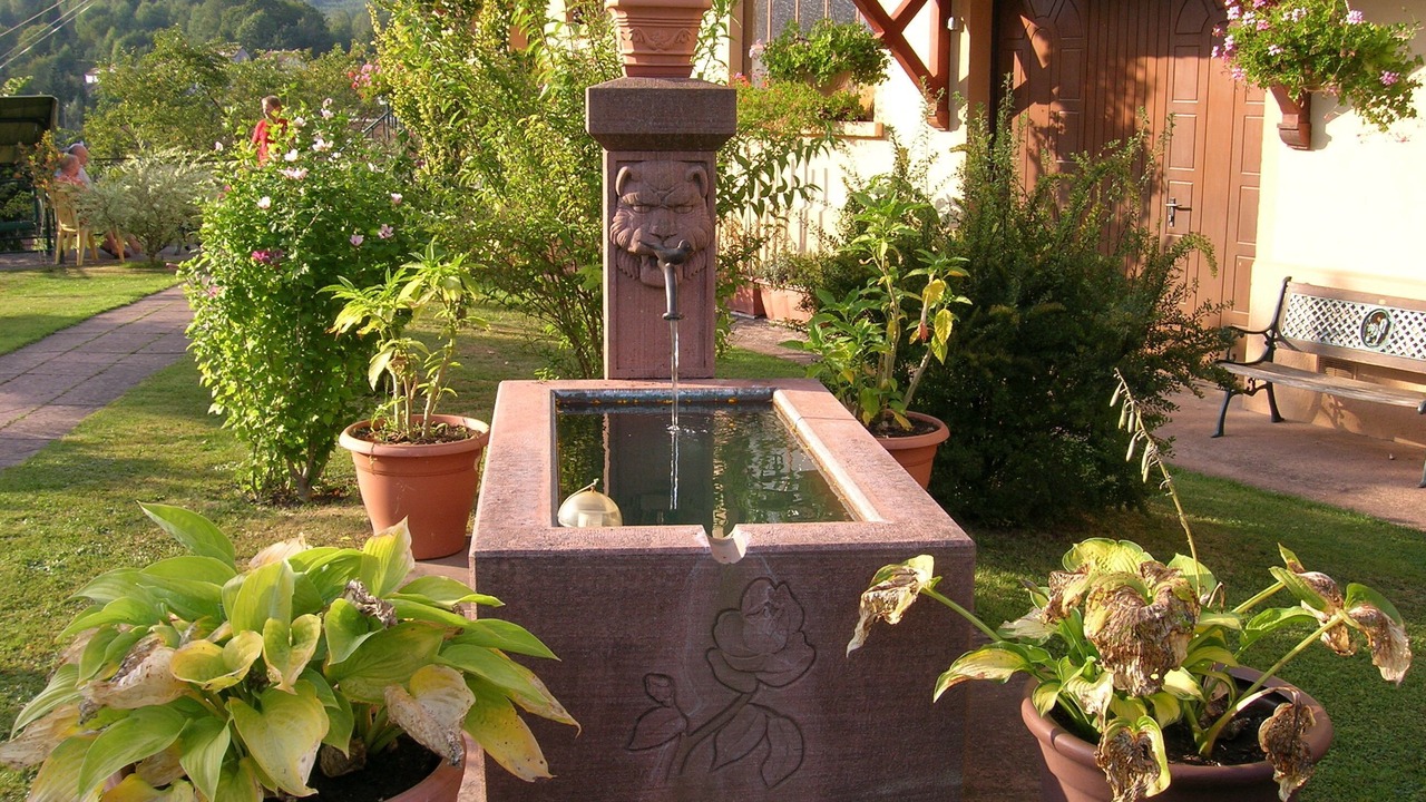 Photo of Outdoor in La Petite-Raon