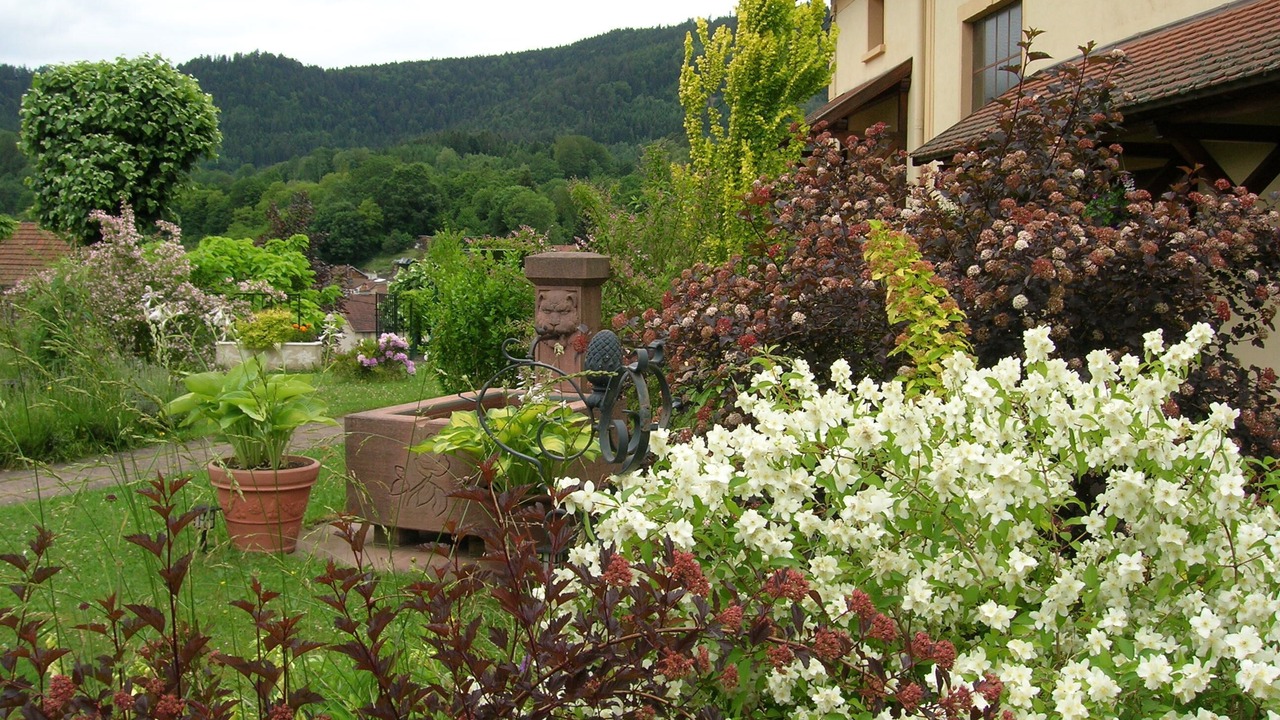 Photo of Outdoor in La Petite-Raon