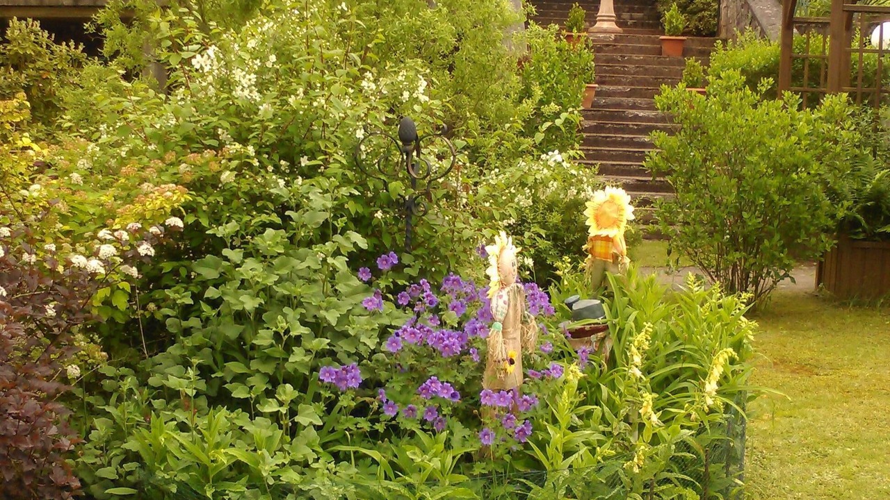 Photo of Outdoor in La Petite-Raon