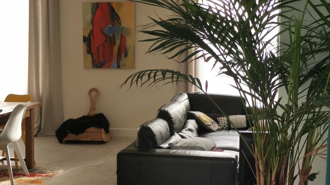 Photo of Livingroom in Semussac