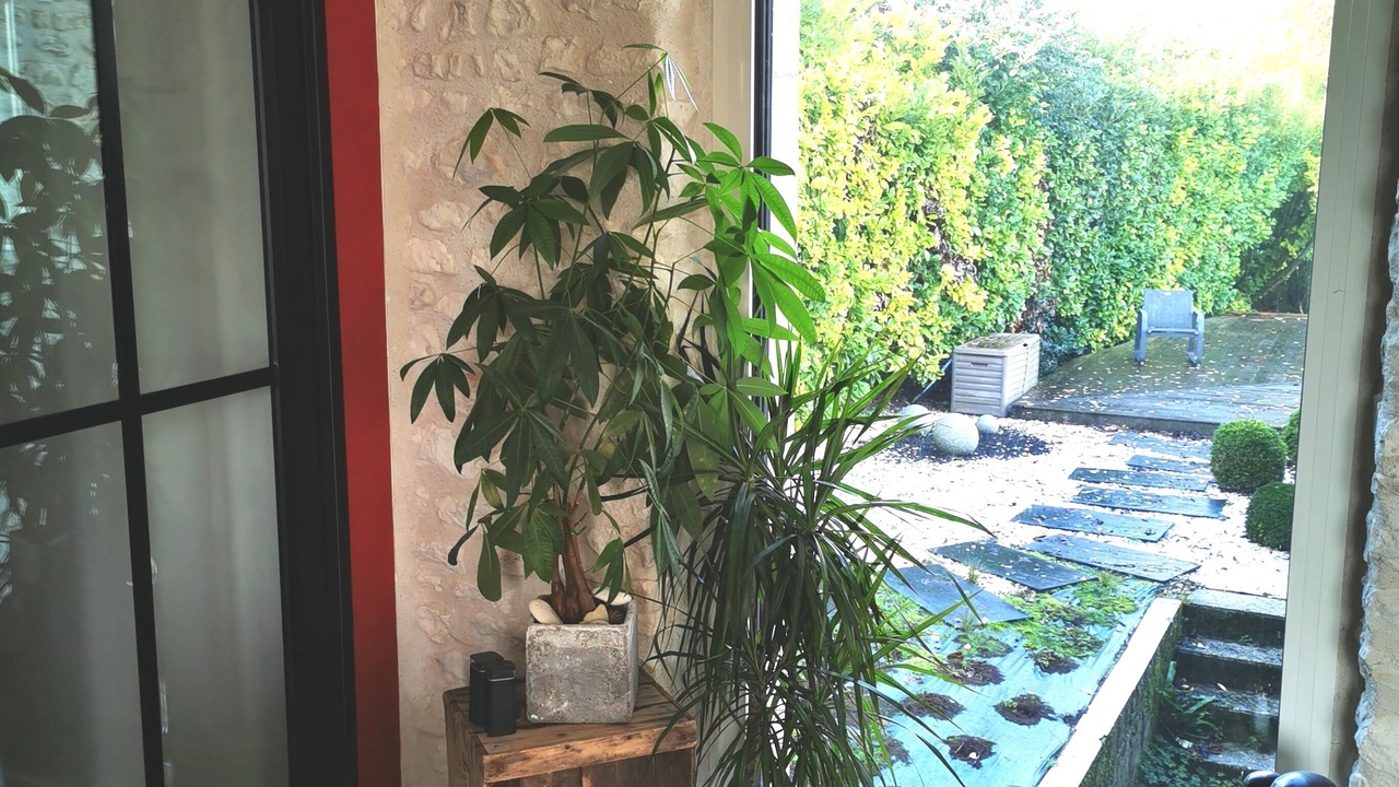 Photo of Others in Semussac