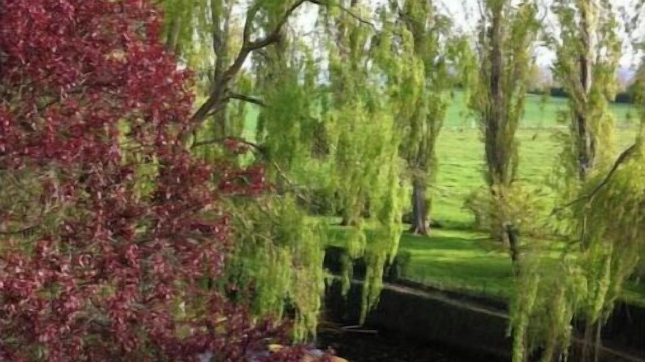 Photo of Others in Vieux-Pont-en-Auge