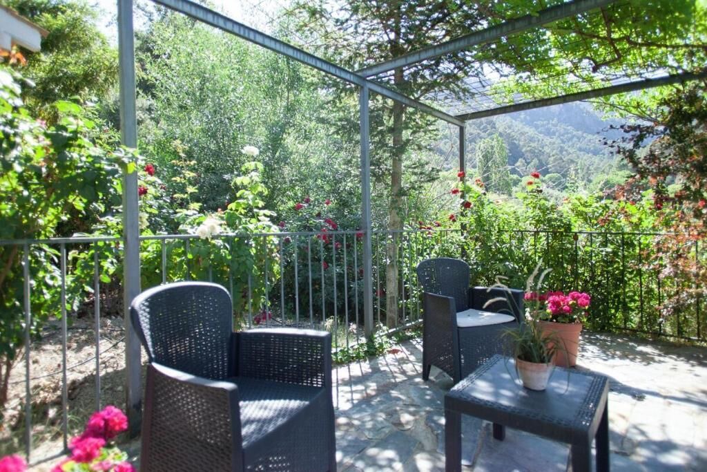 Photo of Patio Balcony in Quesada