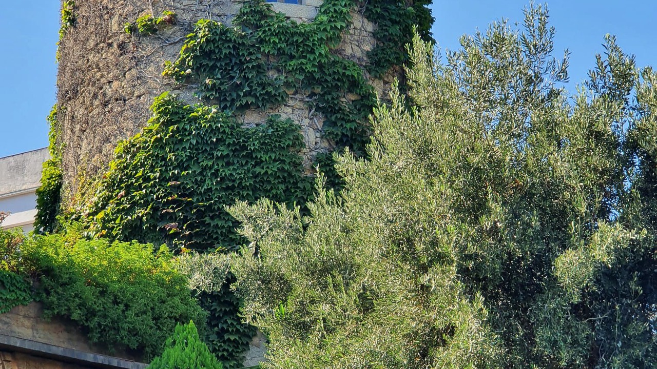 Photo of Others in Caldes d'Estrac
