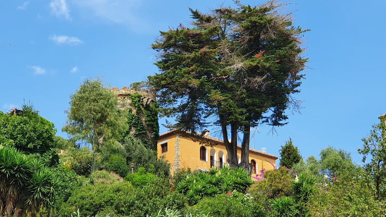 Photo of Outdoor in Caldes d'Estrac