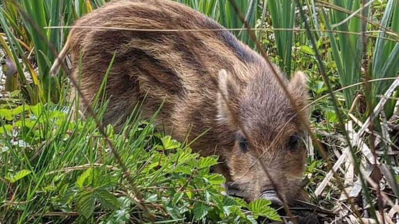 Photo of Outdoor in Blakeney