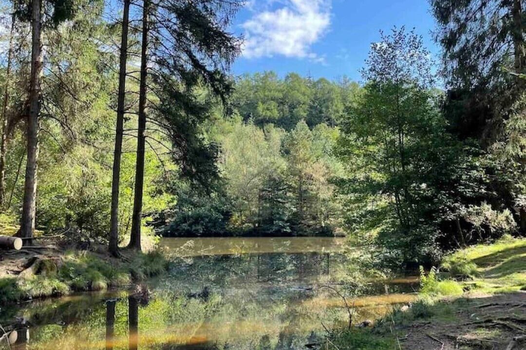 Photo of Outdoor in Blakeney