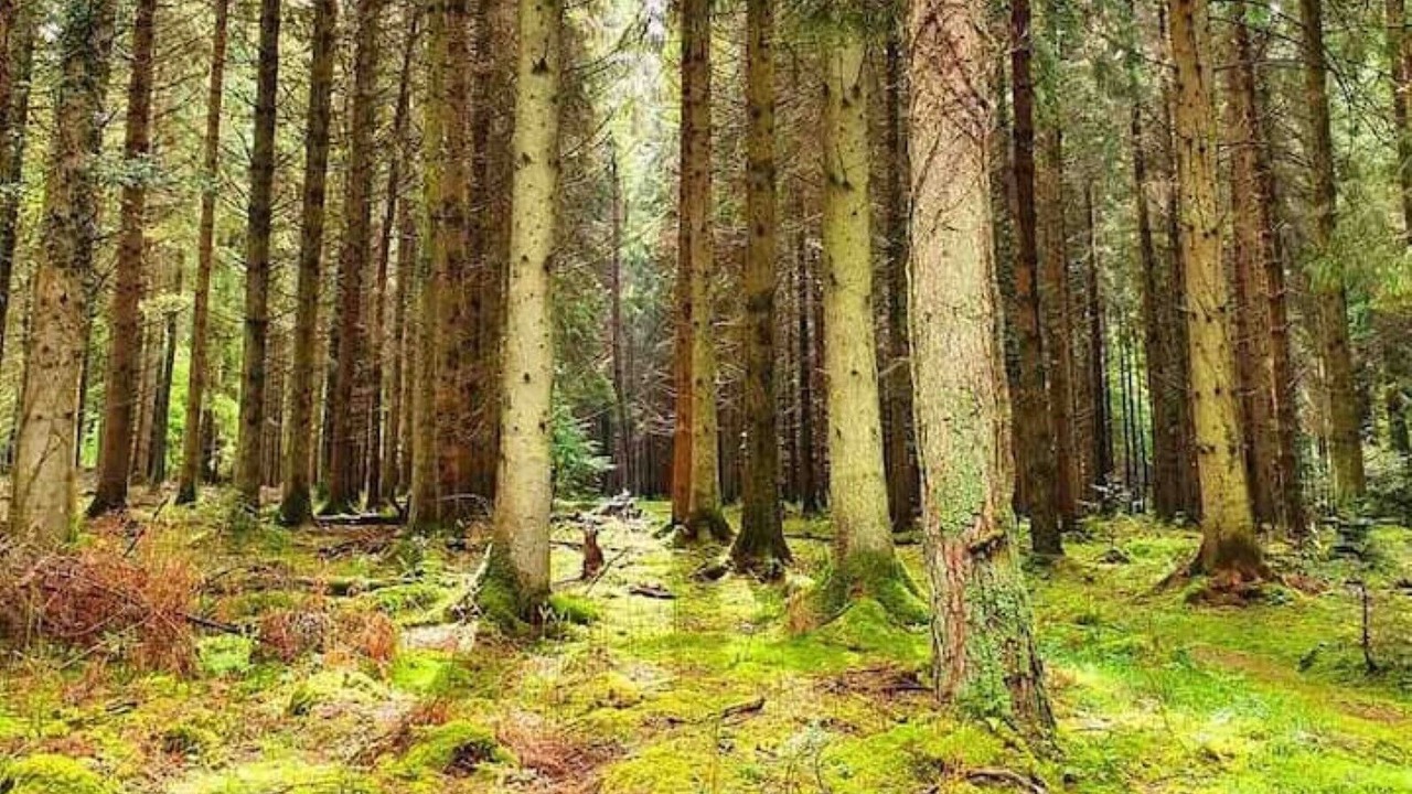 Photo of Outdoor in Blakeney