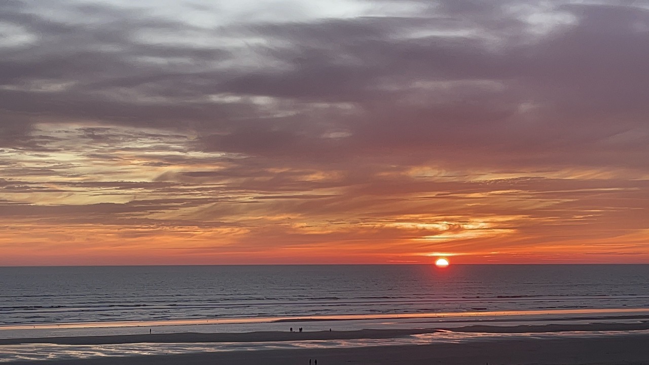 Photo of Others in Seabrook