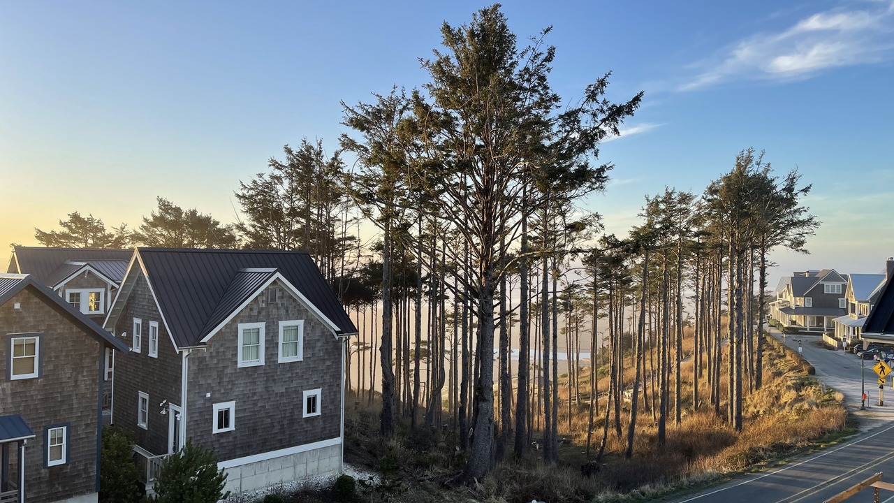 Photo of Others in Seabrook