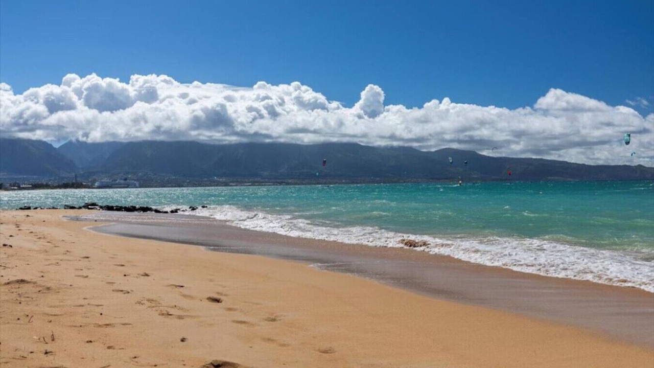 Photo of Others in Wailuku