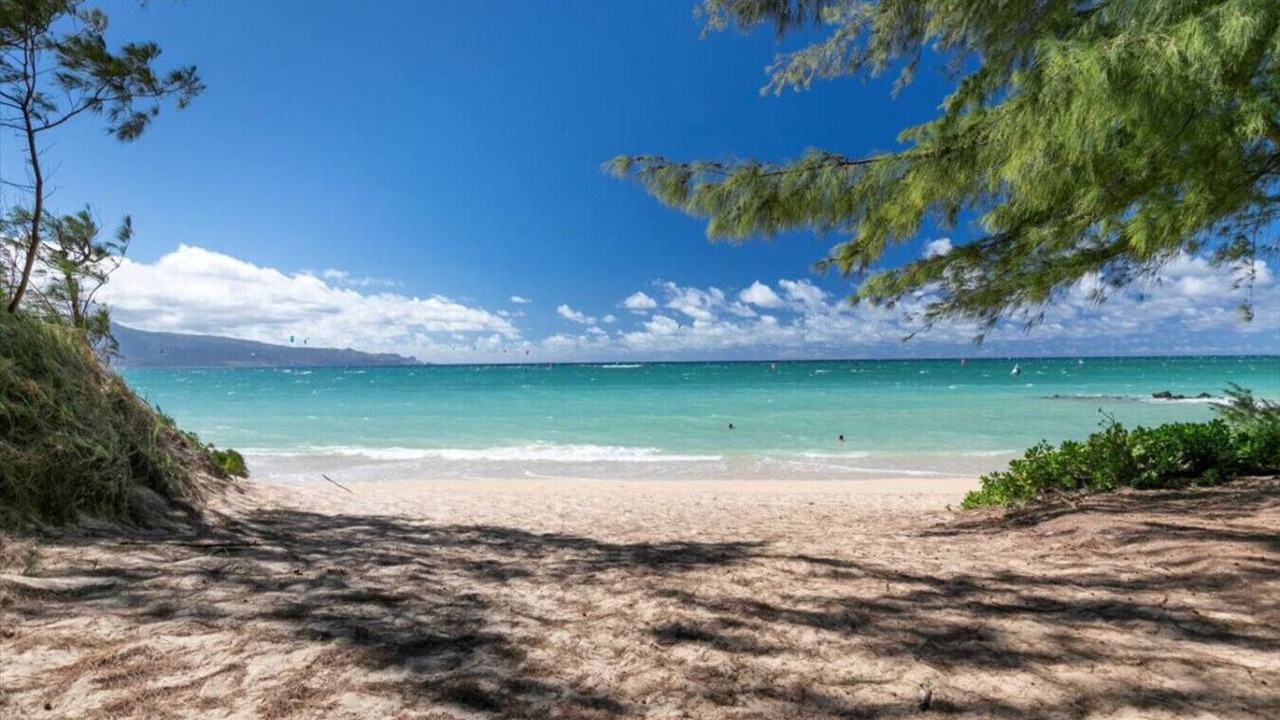 Photo of Others in Wailuku