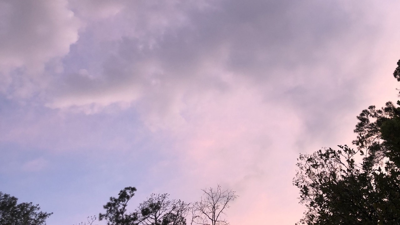 Photo of Outdoor in Ponchatoula