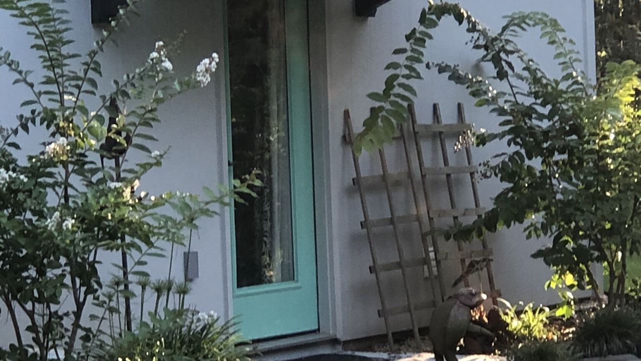 Photo of Outdoor in Ponchatoula