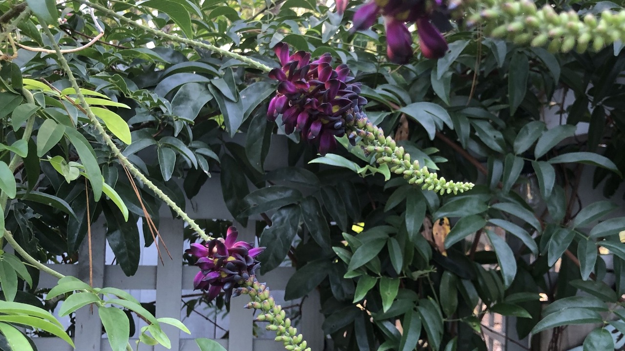 Photo of Outdoor in Ponchatoula
