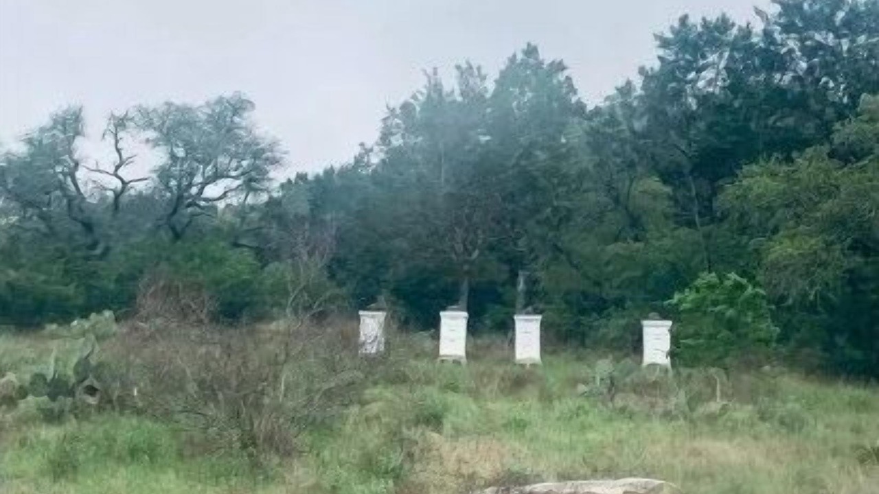 Photo of Outdoor in San Marcos