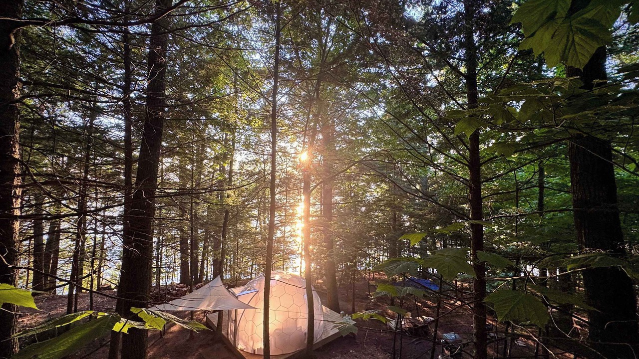 Photo of Others in Monmouth