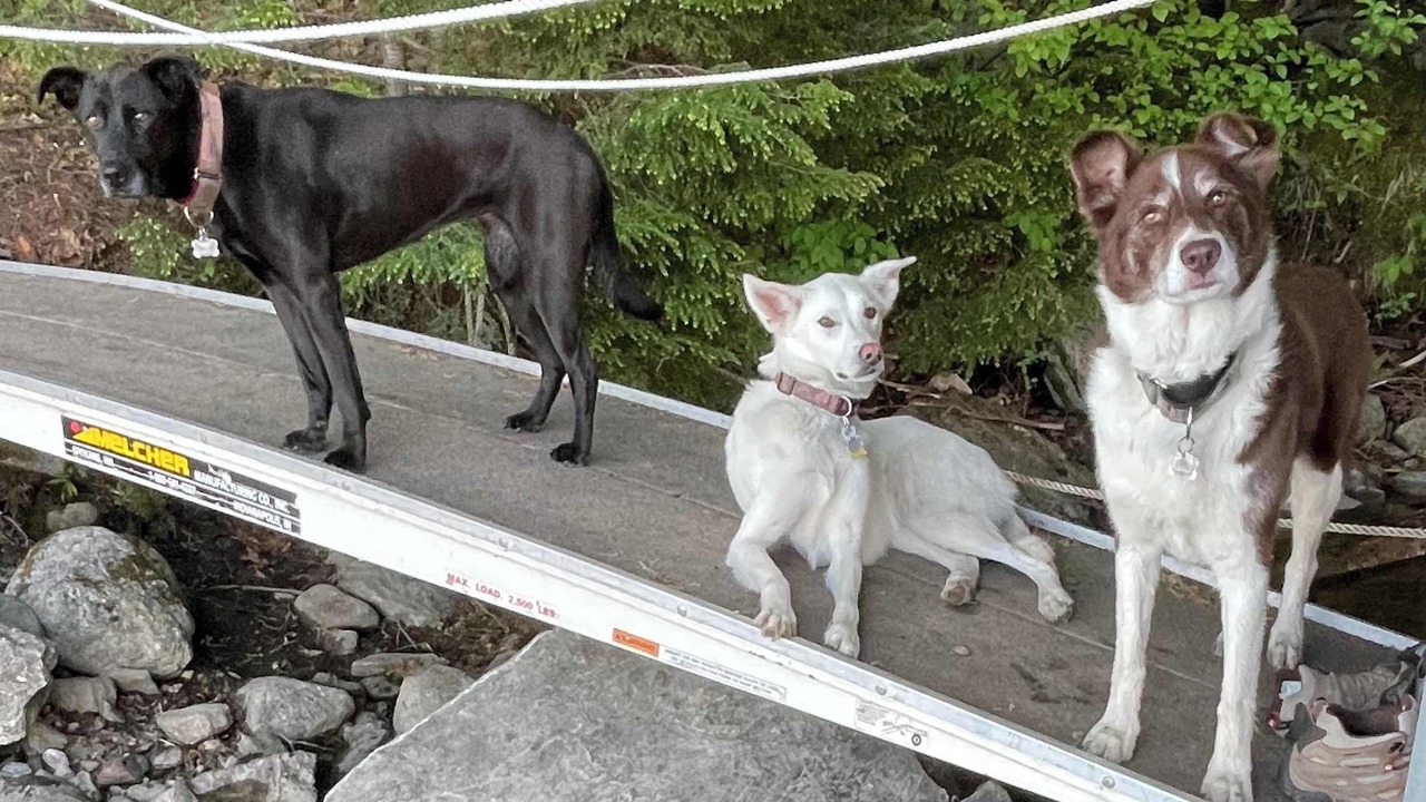 Photo of Others in Monmouth