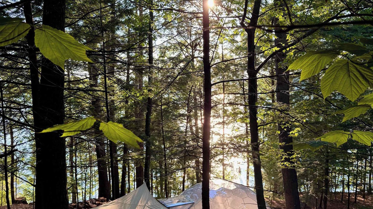 Photo of Others in Monmouth