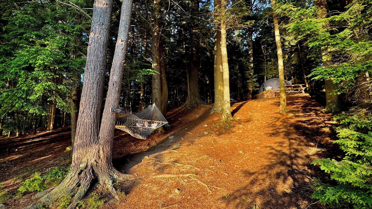 Photo of Others in Monmouth