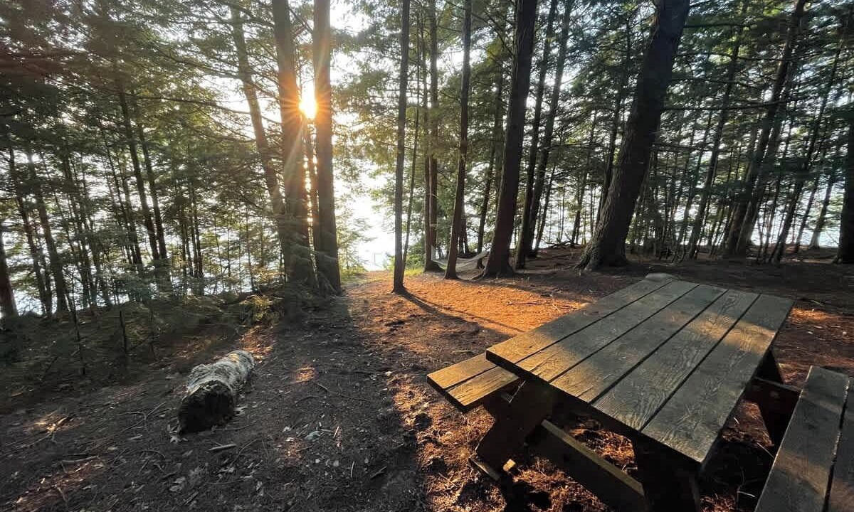 Photo of Others in Monmouth