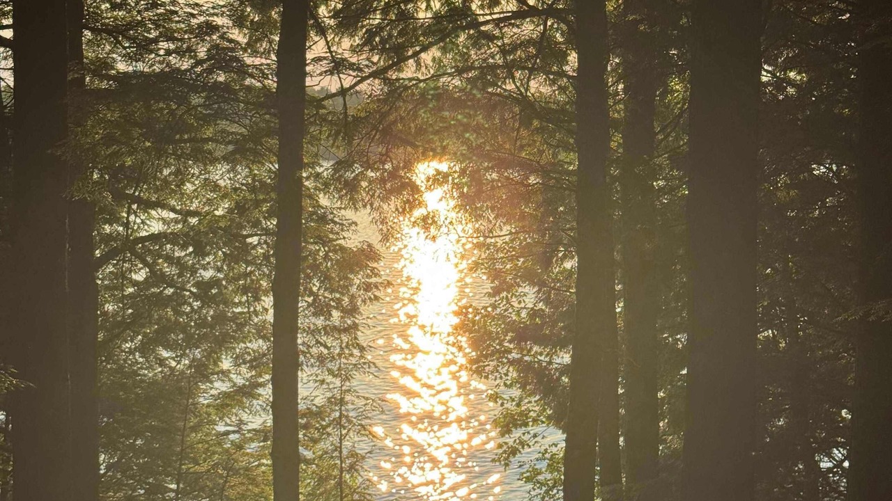 Photo of Others in Monmouth