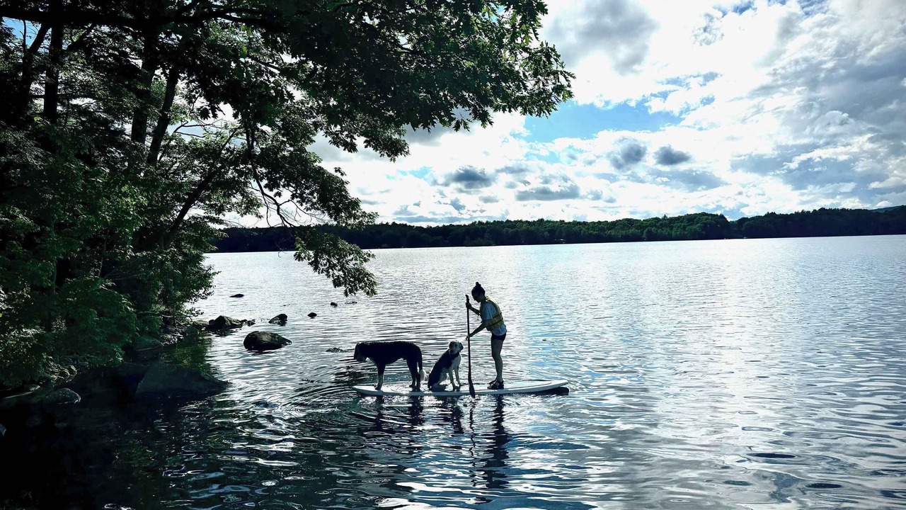 Photo of Others in Monmouth