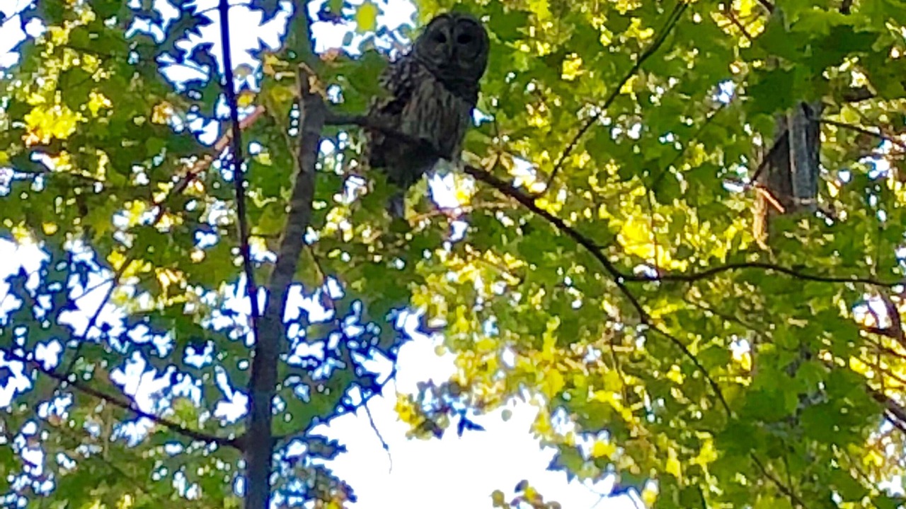 Photo of Others in Monmouth